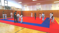 Anwendungslehrgang im Karate Do Fläming